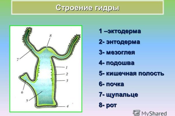 Лучшие наркошопы